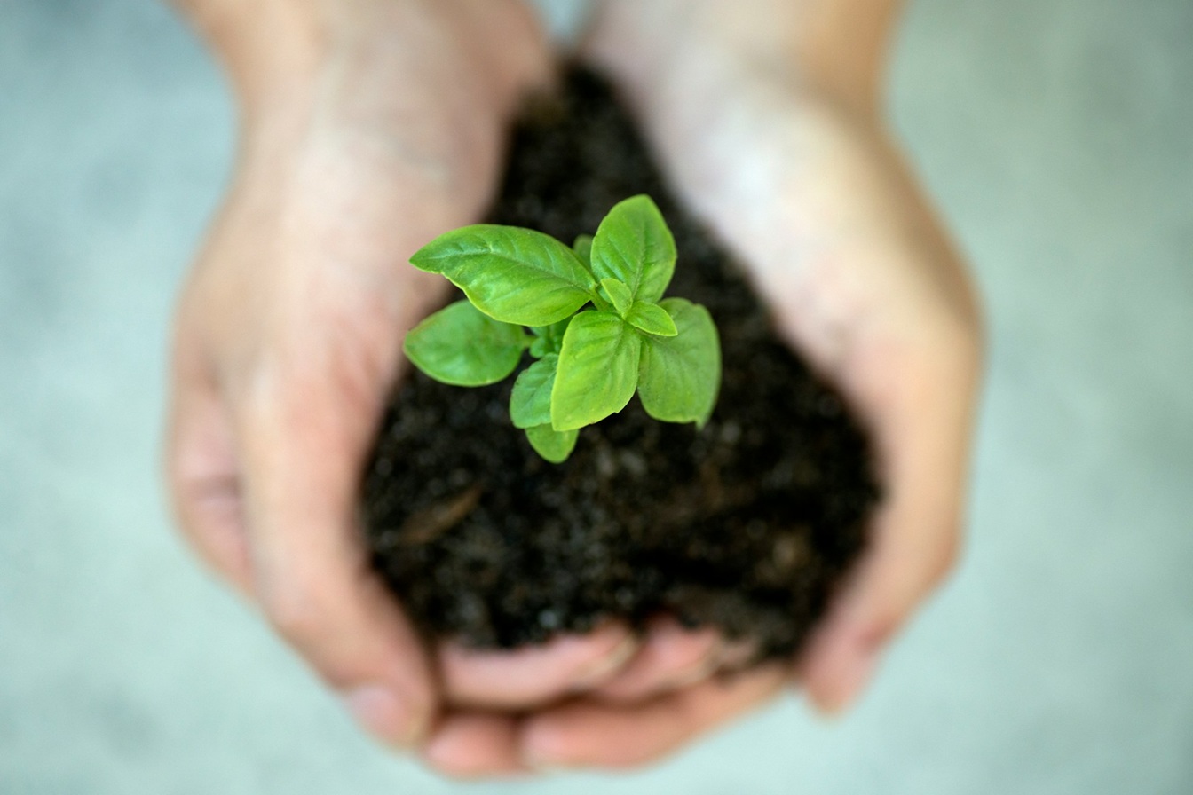 Environmental Care